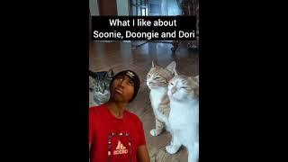 What I like about Soonie, Doogie and Dori #leeknow #straykids