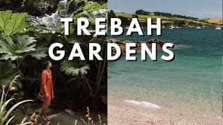 IS THIS CORNWALLS BEST GARDEN? // Trebah Gardens