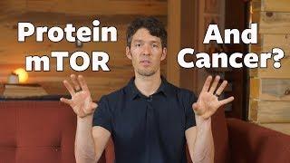 mTOR, Protein  & Cancer: new science MIT's David Sabatini