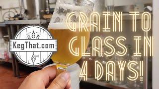 How to do Grain to Glass in 4 Days: Rosemary Kveik Ale - Recipe Included!