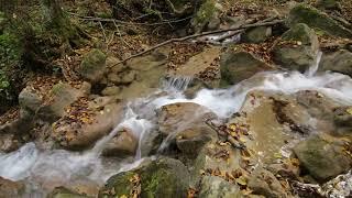 Fast Flow of Water in The River