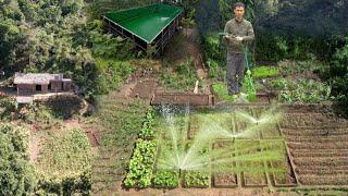 Create a fully automatic and efficient vegetable watering system, Trai Farm