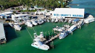 Tarpon Fishing, Accommodations and More! - April Fishing Report