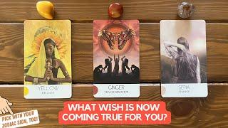 What Wish is Now Coming True For You? | Timeless Reading