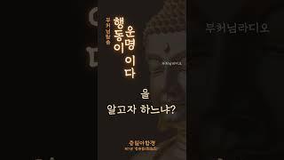 과거와 미래의 비밀 : 행동이 운명이다  | 부처님말씀 | 증일아함경 | 석가모니 부처님