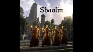Shaolin ESO Smallscale PVP - 1