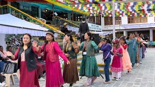 TABO Free Dance | May 29 | Serkong Rinpoche’s Birthday | #spiti #tabo #kinnaur #spitivalley #dance