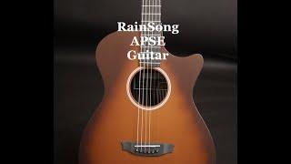 Rainsong Al Petteway Signature Guitar by Guitar Gallery