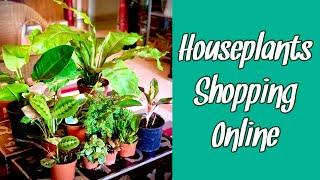 Houseplant Shopping Online | Indoor Plant Haul & Review