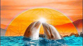 Dolphin Sounds Sacral Chakra 417hz Sirian Starseed Healing Music