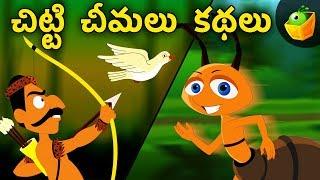 చిట్టి చీమలు కథలు  | Ant stories | Aesob fables Videos for Kids | MagicBox Telugu