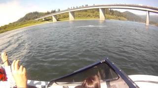 Gray Whale in the Klamath River, August 11, 2011