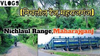 Nichlaul Range,Maharajganj सोहगी बरवा वन्य जीव Uttar Pradesh,#GhumneWalaLadka