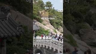 외국인이 더 많은 부산의 절 #해동용궁사  #부산여행