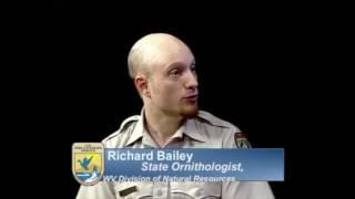 West Virginia Division of Natural Resources (WVDNR) ornithologist Richard Bailey interview (USFWS)