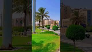 Saudi Arabia jebel Ali #viral #short #viralshort # shortsvideo #youtubeshorts #jebel