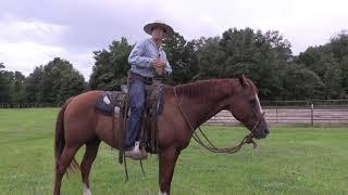 Stopping A Horse Using Natural Horsemanship