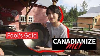 Canadianize Me -  Fool's Gold