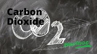 Neutrog TV | Carbon Dioxide + Whoflungdung