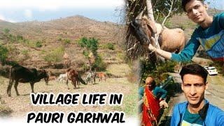 My Small Hill Village | Pahadi Lifestyle | Uttarakhand Village Life |