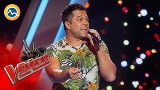 Jaroslav Parči - Despacito (Luis Fonsi) - The VOICE Česko Slovensko 2019