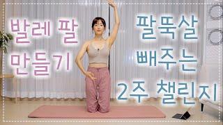 [발레리나처럼 얇은 팔 만들기]팔뚝살 완전 제거!(발레 몸매 만들기 / 팔뚝살 빼는 운동 / 발레핏 / 상체 운동 / 다이어트 2주 챌린지)