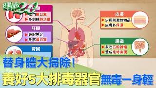 替身體大掃除！養好5大排毒器官 無毒一身輕 健康2.0