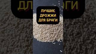 ЛУЧШИЕ ДРОЖЖИ ДЛЯ БРАГИ #мужскоехобби #самогон #рецепты #самогонныйаппарат #настойка #дрожжи