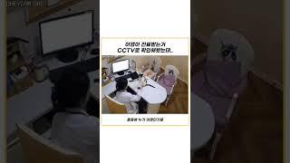 직업 만족도 최상 원장님ㅋㅋㅋㅋ #동물병원 #아깽이 #집사 #만족도 #최고