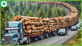 Jaw-Dropping Extreme Dangerous Big Wood Truck Driving Skill | Biggest Heavy Machinery Machines