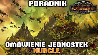 Nurgle Omówienie Jednostek + Jednostki w Akcji Na Polu Bitwy w Total War Warhammer 3 PL