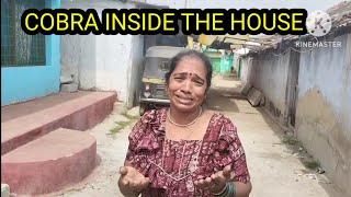 KGF - COBRA INSIDE THE HOUSE -  CMC COMMISSIONER KINDLY ATTENTION PLEASE