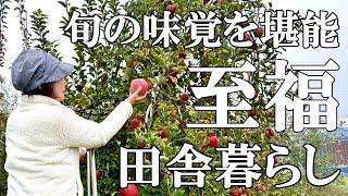 【りんご狩り】贅沢な味覚狩り 終わりゆく紅葉とススキ  田舎のおもてなし料理  猫の距離感  自然豊かな山奥暮らしの日々｜村暮らし｜移住｜料理【標高800mの田舎暮らし】