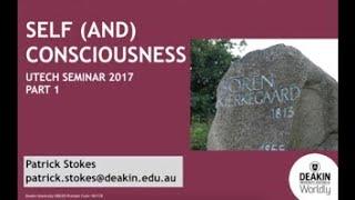 Seminar on Consciousness, Reflection, and Subjectivity by Patrick Strokes: Part 1