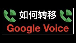 Transfer your Google Voice number 2022 - Google Voice 转移操作