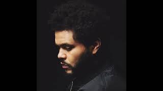 FREE The Weeknd Type Beat - "XO" (prod. AT BOY)