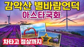 쉽게 올라 산정상 보라빛물결, 감악산 별바람언덕 아스타국화축제, 가을축제, 9월 추천여행지, 10월 추천여행지, 가을추천여행지, 10월 가볼만한곳