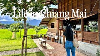 Chiang Mai Vlog | Café scenery, afternoon Tea at Four Seasons & hidden gems of the city