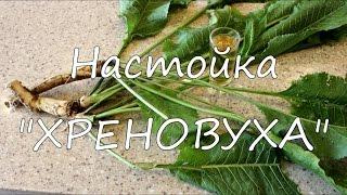 Настойка "Хреновуха".