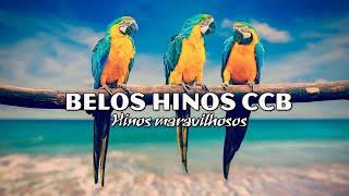 Belos Hinos CCB Hinário 5 - Melhor Trilha Sonora Instrumental