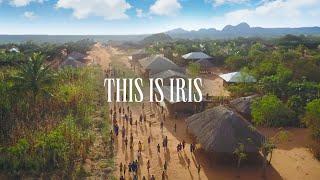 This is Iris