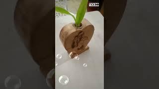 laser print wood pot with plant#wood pot#marthandam gift pot shop