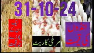 31-10--2024 broiler rate| Today egg rate |Today chicks price|Today poultry rate| today chicken rate