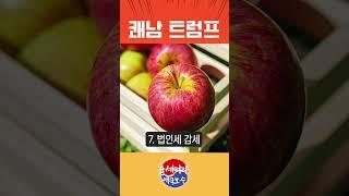 쾌남 트럼프의 공약 Feat 비트코인 떡상?