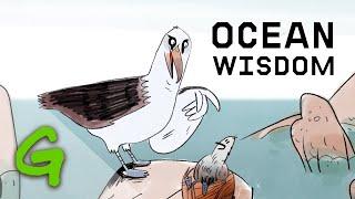 Wisdom's wise words on ocean protection - Greenpeace