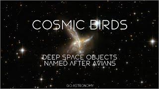 Cosmic Birds: 15 Deep Space Objects Named After Avians