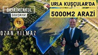 İzmir Urla Kuşçular'da Satılık Beş Dönüm Tarla