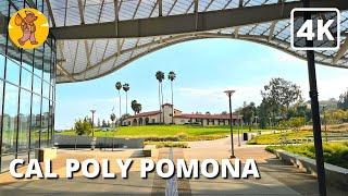 4K Cal Poly Pomona Campus Walking Tour |  Binaural Sound