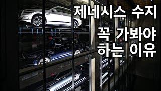 제네시스 수지 꼭 가봐야 하는 이유