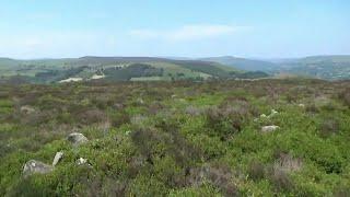 Eyam moor embanked Stone Circle, Bronze Age, Derbyshire UK #shorts